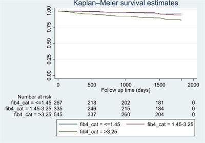 Fibrosis-4 index is associated with the risk of hepatocellular carcinoma in patients with cirrhosis and nonalcoholic steatohepatitis